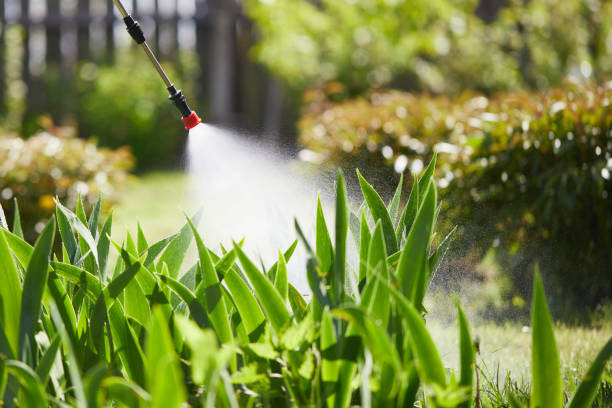Tamper-Resistant Bait Stations for Rodents in Winnebago