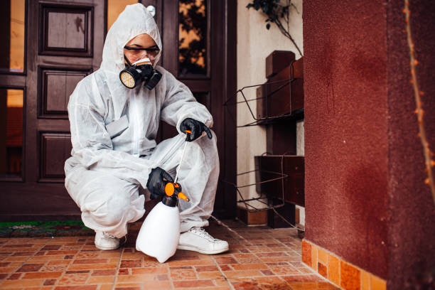 Attic and Crawl Space Rodent Treatment in Winnebago
