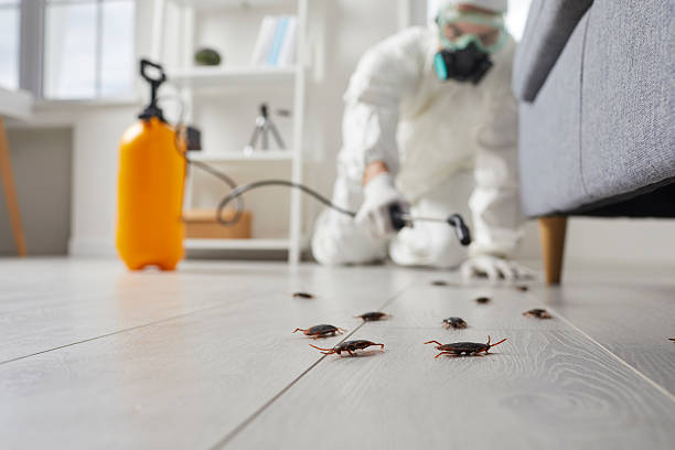 Commercial Rodent Management in Winnebago